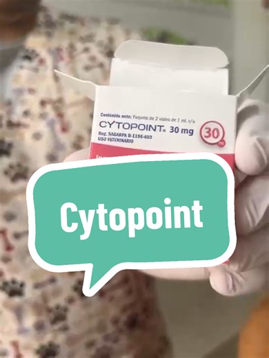 Cytopoint: Alivio Efectivo para Dermatitis en Perros