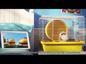 Sky Broadband WiFi Guarantee & The Secret Life of Pets 2