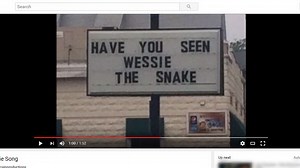 'Wessie' the Westbrook snake gets tribute folk song