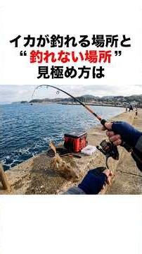 How to tell the difference between where you can and can't catch squid... #fishing #fish #trivia ...
