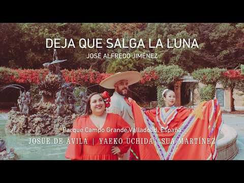 Deja que salga la luna video musical