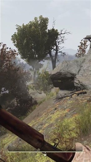 Forest Treasure Map #2 location