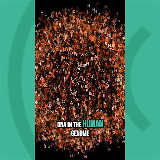 Is the human genome really the product of random chance? Today on The Creation Podcast, Dr. Jeff Tomkins is unpacking the complexity of the human genome and the evidence that points to a Creator whose design is seen in every detail. 🎧🎬www.youtube.com/watch?v=DP31aWyyMJ0 | Institute for Creation Research (ICR)