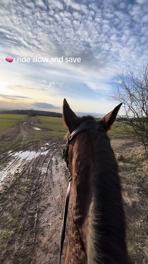 Thrilling Horseback Riding Videos Compilation