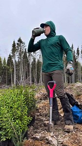 Day 13 20 trees (10 free trees) 45,200 Trees Total 🌳 🌲 The goal: • 2,000,000 trees before the end of this year • 25,000,000 trees before 2030 (or faster… let’s see how crazy this can get) Right now, this project is at 42,200 trees because this isn’t forestry contracts, this is an independent environmental movement built from scratch. 💰 And to make this fun and serious at the same time: • $10,000 giveaway at 100,000 trees • $100,000 giveaway at 2,000,000 trees • $1,000,000 giveaway at 25,000,0