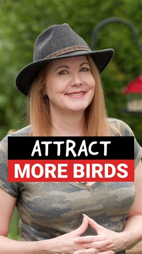 Big chunks are packed with nutrition and keep birds coming back for more. Most birdseed mixes are full of fillers birds don’t eat and toss aside, leaving you with an empty feeder and hungry birds. Wild Delight Nut N’ Berry is different. Instead of wasted filler, it’s packed with nuts, seeds, and fruit that draw a wider variety of species, including berry lovers like American Robins, Cedar Waxwings, and Bluebirds. Wild Delight Deck, Porch N’ Patio, a zero-waste bird food, is my favorite because t