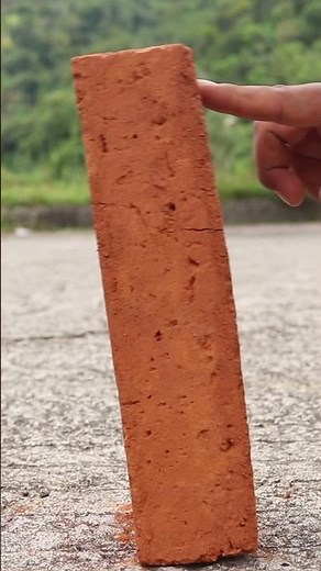 Double Domino Effect Using 100 Bricks #dominoeffect #amazing #viralvideo #shorts