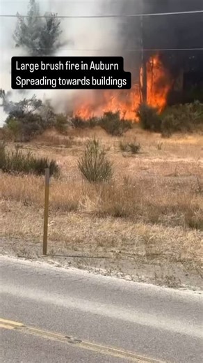 284 reactions · 22 comments | Around 230 today a brush fire was reported near 620 37th St SE Auburn. It was also moving towards occupied buildings. A large tone out sent multiple engines, brush trucks and medical support. Fire fighters are still working on the flames #Info #news #story #fire #summer #dry #wildland | Steve Hickey | Facebook