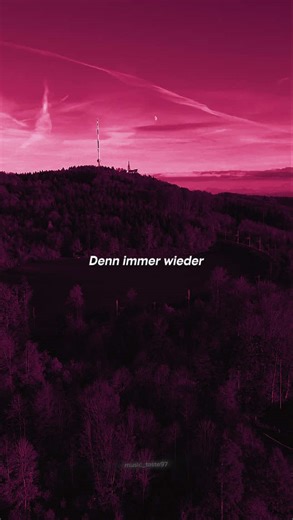 Understanding the Lyrics of 36 Grad by 2raumwohnung