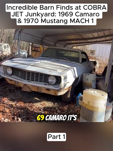 Incredible Barn Finds at COBRA JET Junkyard: 1969 Camaro & 1970 Mustang MACH 1 (Part 1) #barnfind #abandonedcar | Abandoned Cars