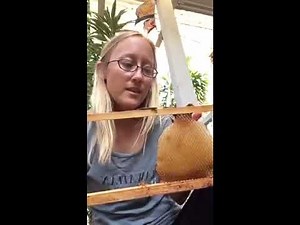 Learn All About Honeycomb & How It's Made