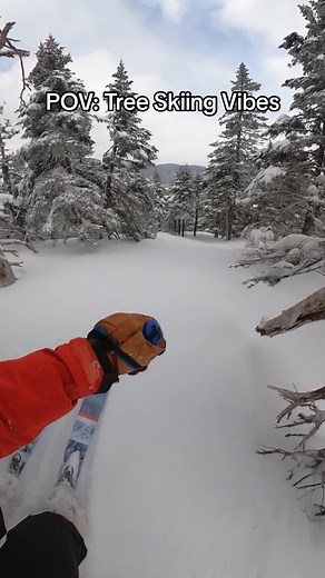 Thrilling POV Skiing Through Trees in Vermont