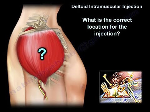 Vaccination In The Arm - Everything You Need To Know - Dr. Nabil Ebraheim