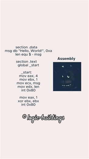 First line of every language in programming python vs javascript vs assembly language