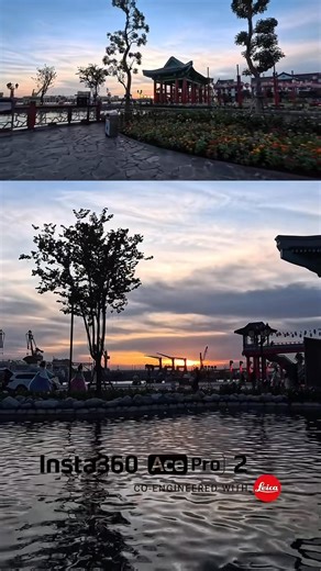 Tokyo Camera on Reels