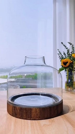 7K views · 106 reactions | Bring nature home #microlandscape #creative #diy #terrarium #terrariummaking | Fish Tank | Facebook