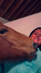 31K views · 3.5K reactions | Ava has started nibbling on everything,...