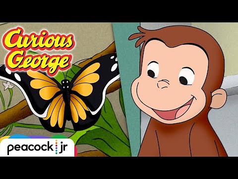 🐛 George is Curious about Caterpillars | CURIOUS GEORGE