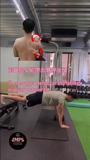 肩關節後側夾擠與肩活動度 #imps動作優化提升運動表現系列課程