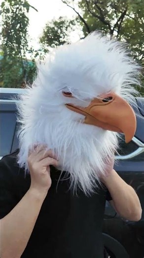 Costume Inspiration: The Fun Experience of Transforming into an Eagle [PATYGR]