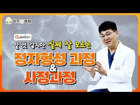 정액의 형성과정과 사정과정