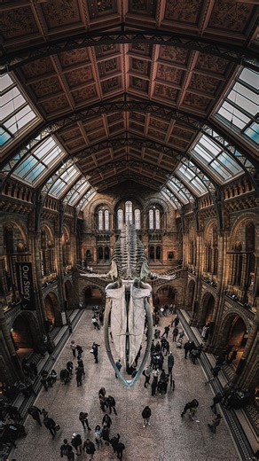 Yu Shi | New York on Instagram: "pov: when you don’t have a wide angle lens - Photography tips: Most phones already have Panorama mode built into the camera app. Use it to capture wide scenes, city skylines, or landscapes—no extra gear needed. Shot on iPhone 17 Pro Max 📍Natural History Museum, London, United Kingdom"