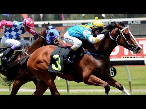 MALAYSIA LIVE RACE 15 FEB 2026