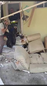 4.7K views · 286 reactions | ממשיכים במבצע לחילוץ בעלי חיים מעוטף עזה...