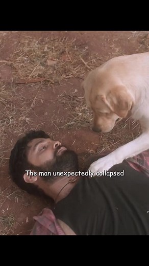 Mutual Redemption: A Heartwarming Dog Story