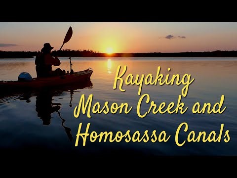 Kayaking Mason Creek and Homosassa Canals