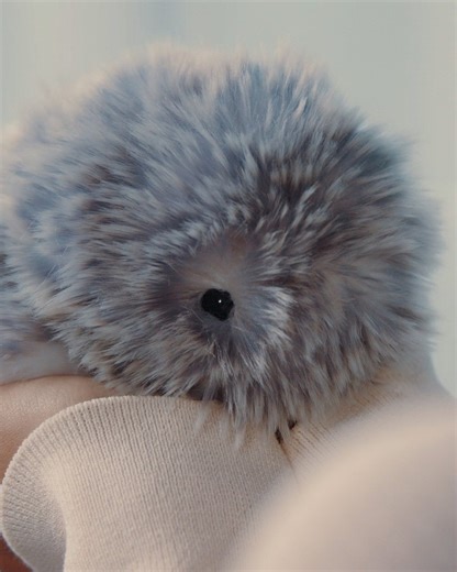 Japan - The Government of Japan on Instagram: "Meet Moflin, a cuddly robot pet 🐾 that's as expressive as it is adorable! This furry friend from Casio Computer Co., Ltd. harnesses the power of AI to show joy, pleasure, sadness, and even annoyance, developing its own unique personality and emotions as it spends time with you. Soft to the touch, crafted in two comforting colors, and able to react just like a living creature, Moflin can help bring warmth to busy everyday lives and reduce loneliness