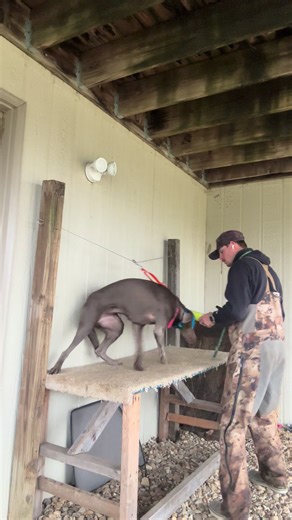 Training a Retriever: Quick Fetch and Obedience