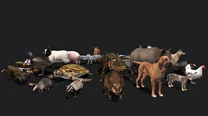 Realistic Animals SMALL PACK - 3D model by WildMesh 3D (@WildMesh_3D)