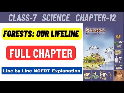 Class 7 Science Chapter 12 Forests Our Lifeline line by line NCERT Explanation of Full Chapter