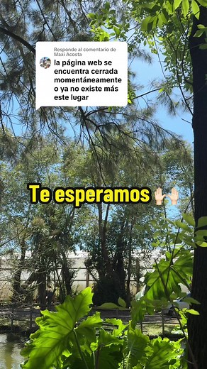 Respuesta a @Maxi Acosta venite maxi ♥️🙌🏻