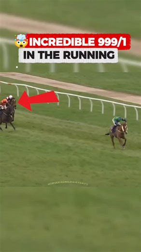 🤯INCREDIBLE 9️⃣9️⃣9️⃣/1️⃣ In The Running CHASINGOUTTHEBLUES Somehow Wins At Wetherby! #horse #wetherbyraces #horseracing | Horse Racing Away Days