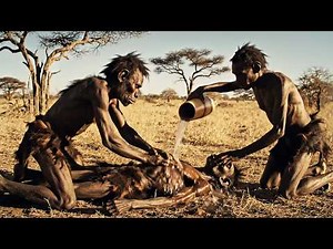 Survival Diet of Early Humans | Hunting & Gathering | Stone Age (Full CGI)
