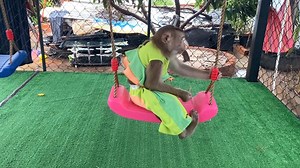 Lil Furry Judee Lonely PIaying In Her PIayground | The Judy Family