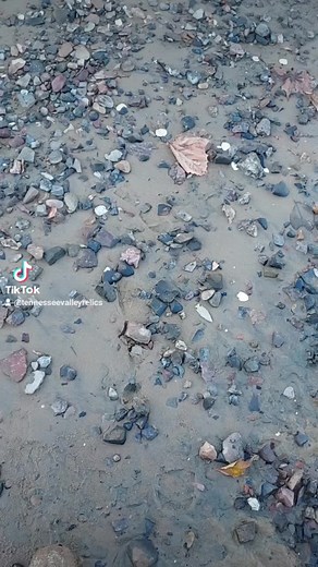 Tennesseevalleyrelics on TikTok