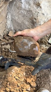 163K views · 4K reactions | Keith and Debbie moved a ton of ledge and found this giant crystal! #herkimerdiamond #minerals #quartz #crystals #rockhound #mining #upstateny #outdoors #recreation #minerals #geology #newyork #crystalshop #adventure #crystalsforsale #crystalhealing | Mohawk Valley Mineral Mining Inc | Facebook