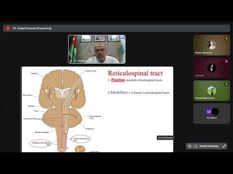 29/11/2025 Extrapyramidal
