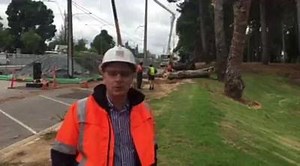 16K views · 234 reactions | It's not lack of maintenance. | SA Power Networks | Facebook