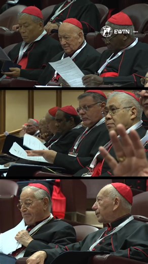 El Papa León XIV celebra su primer consistorio extraordinario este miércoles y jueves: una reunión a puerta cerrada con cardenales de todo el mundo para definir las prioridades iniciales de su pontificado tras el Jubileo de la Esperanza. El breve encuentro de un día y medio se centrará en cuatro temas: - El papel del Colegio Cardenalicio en el gobierno de la Iglesia - El futuro de la sinodalidad - La reforma de la Curia y el Praedicate Evangelium - La liturgia y la búsqueda de una mayor unidad E