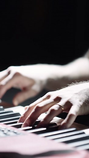 It's World Piano Day, here's I Wanted to Leave 🖤 #worldpianoday | paris texas lana del rey