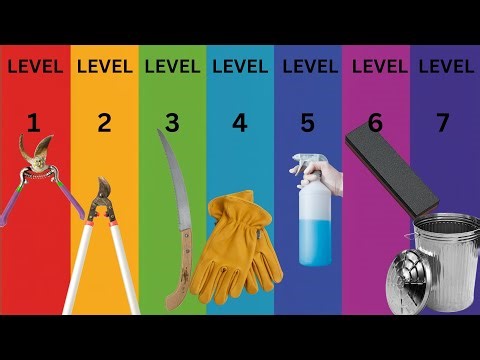 7 Levels of ROSE Pruning Tools