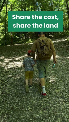 Buying woodland is expensive. There’s a simpler way.