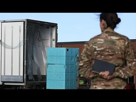 Франция задействует вооружённые силы для борьбы со вспышкой болезни крупного рогатого скота