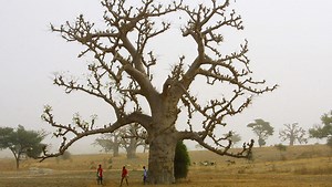 De griot en griot, l'histoire chantée de Soundiata Keita