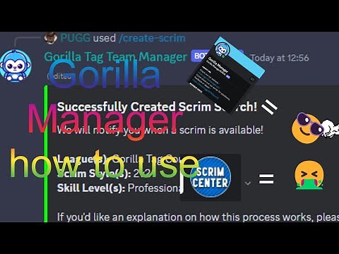A Gorilla Tag Team Management Discord Bot! | Gorilla Manager