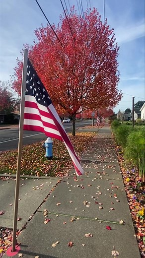 Beautiful Veterans Day!! | Whatcom County Weather
